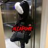 alcapone_797