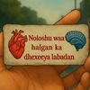 ahmednor696865