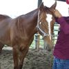espinozapp