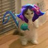 el_gato_blanco0