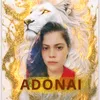 MAYRLA PRIMOR OFC01