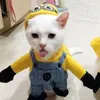 nashiecakesss.com
