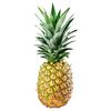 mr.pineapple_the_third