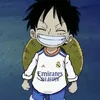 tigerjr883