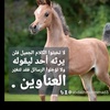 abdallhmohmmad3