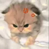 ng_yen_nhi2