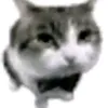 minatozakqisana