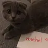 miehel_