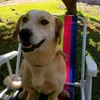 videos_curtos