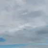 idencheeze_kraskosijeyd