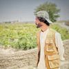 sabirbangulzai313