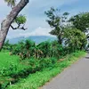 _rahre2