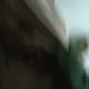 gagabutgaasikk