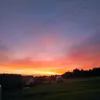 caaerio