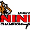 nine_taekwondo_kalbar