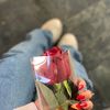 emiliee275