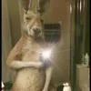 aaronponceromero