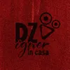 dzingner_in_casa