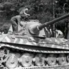 koenigstiger16245