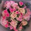 soso_qwen1
