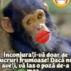 ioansarca5