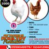 storytellerghana