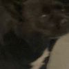 sampson2115