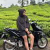 aliptmr