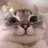 123456_je