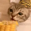 tu.sukk