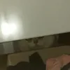 santuldudu