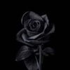 a.ssnt_