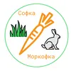 sofa_carrot0