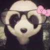 ppandabear14