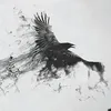 revnatheshadow