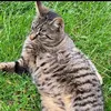 leon12lb