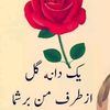 kudduz_turkmen81