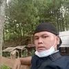 verzailham