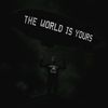 zola_293