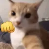 itsu_urpapi
