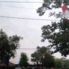 nsamaliy