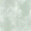 user44835307272