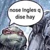 tripaloskii6969