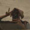 h3iyoww