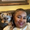 kenjitheyorkie1