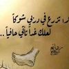 mslm366956844