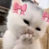 fatma_adel86