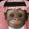 alsayid515a