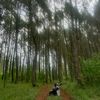 yans_nurhayati171181