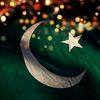 zubairyousaf800